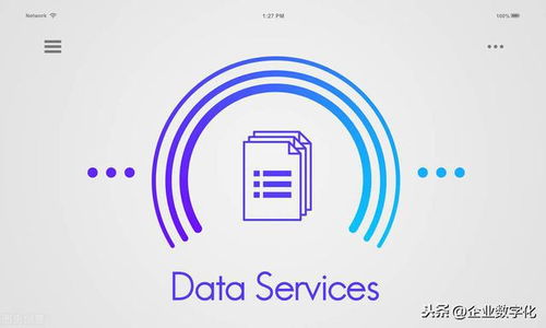 數(shù)據(jù)服務(wù)背后的產(chǎn)品技術(shù)技術(shù)服務(wù)